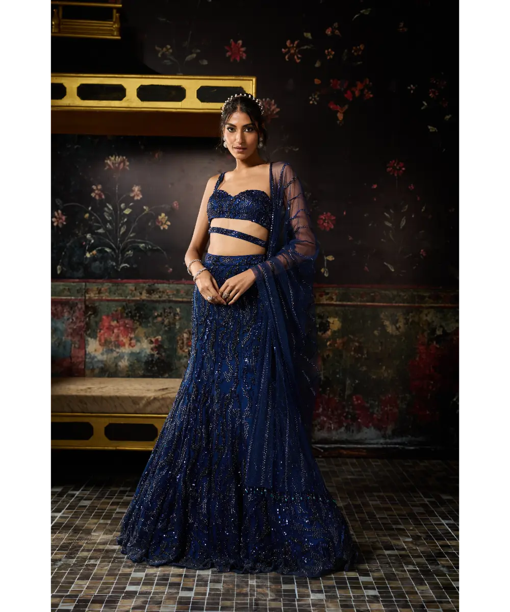 DIYARAJVVIR - DARK BLUE EMBELLISHED MERMAID SKIRT SET